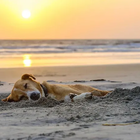 Admiralssuite - Exklusive 5-sterne-ferienwohnung Mit Westbalkon In Der Seefahrtsschule 欧巴德伍斯图