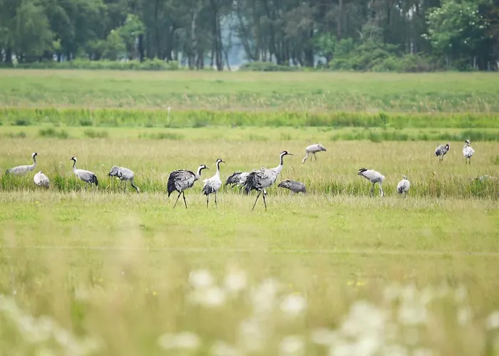 Admiralssuite - Exklusive 5-sterne-ferienwohnung Mit Westbalkon In Der Seefahrtsschule